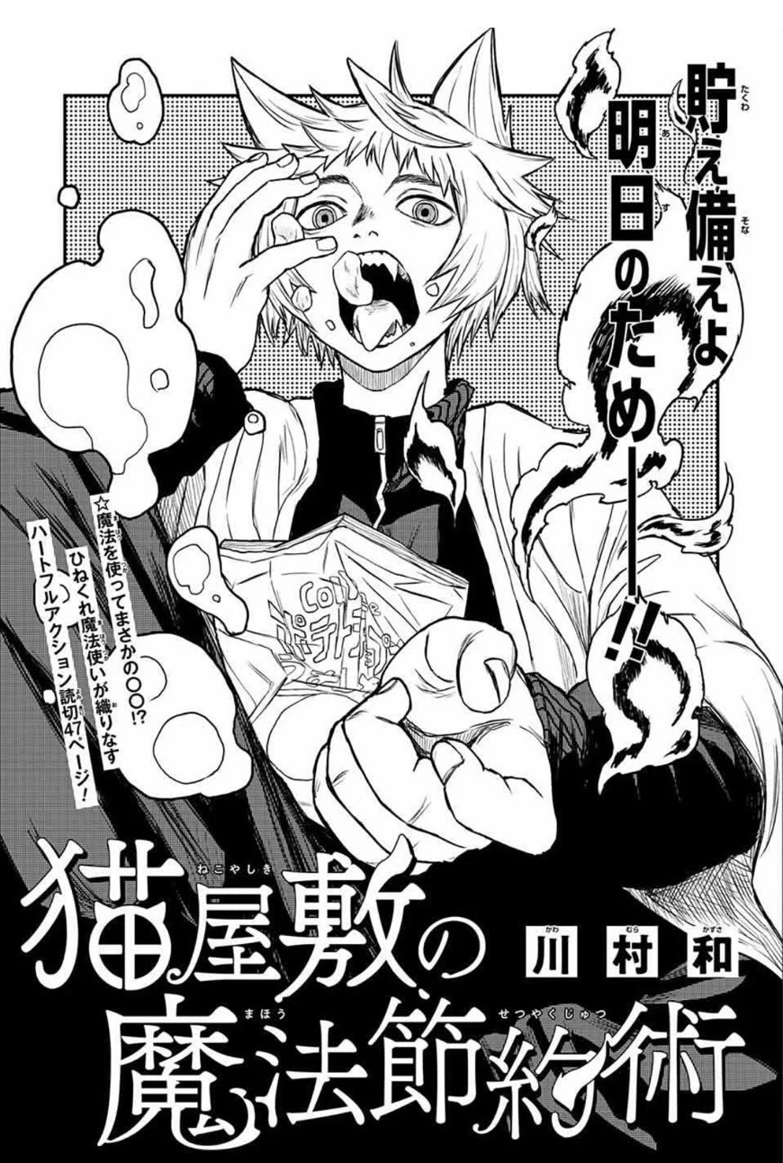 猫屋敷の魔法節約術